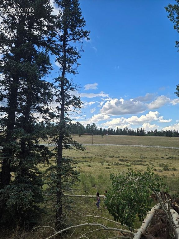 199 Joshua Road, Divide, CO 80814 — photo 2