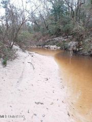 Nhn Rainbow Drive, Perkinston, MS 39573