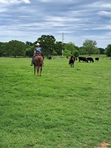 1366 Hcr 1414, Covington, TX 76636