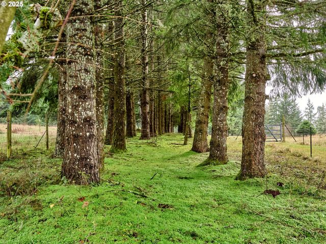 20788 HAZELNUT RIDGE Rd Ne, Scotts Mills, OR 97375