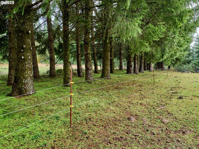 20788 HAZELNUT RIDGE Rd Ne, Scotts Mills, OR 97375