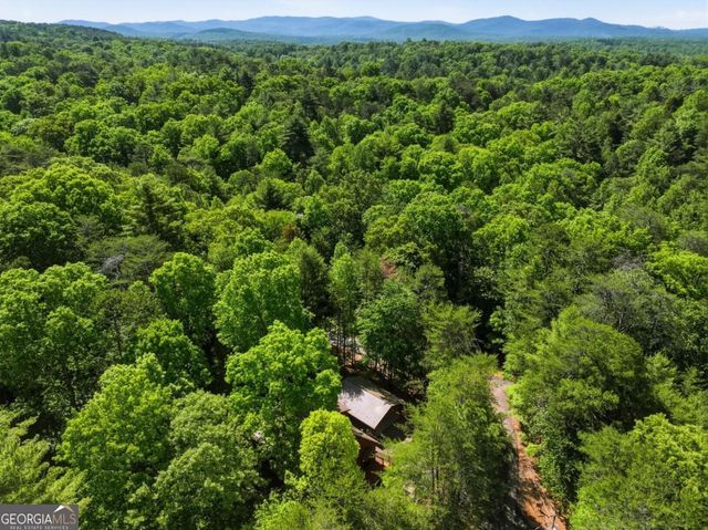 105 Blackberry Falls Court, Ellijay, GA 30536
