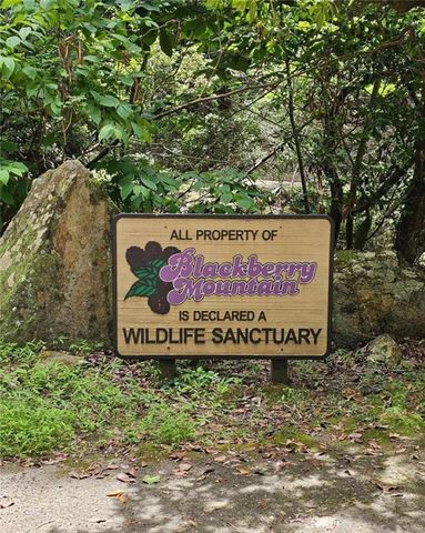 0 Blackberry Mountain Road, Ellijay, GA 30536