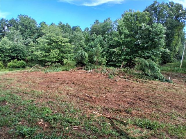 0 Blackberry Mountain Road, Ellijay, GA 30536
