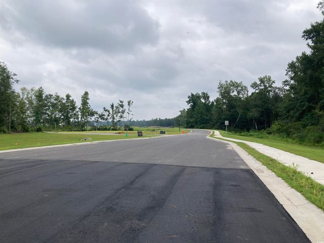 141 River Birch Dr., Loris, SC 29569