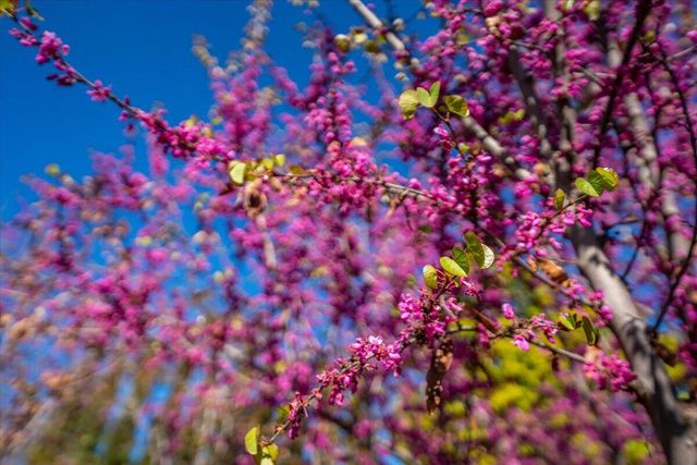 1289 Arizona Street, Redding, CA 96002