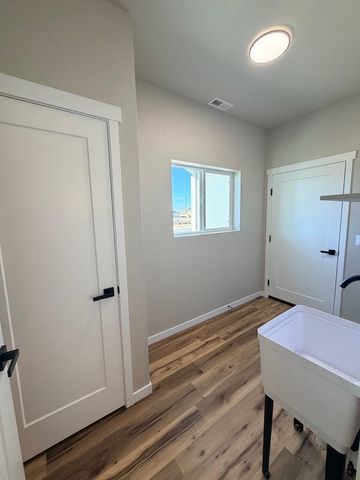 376 Hatchet Canyon Circle, Fruita, CO 81521