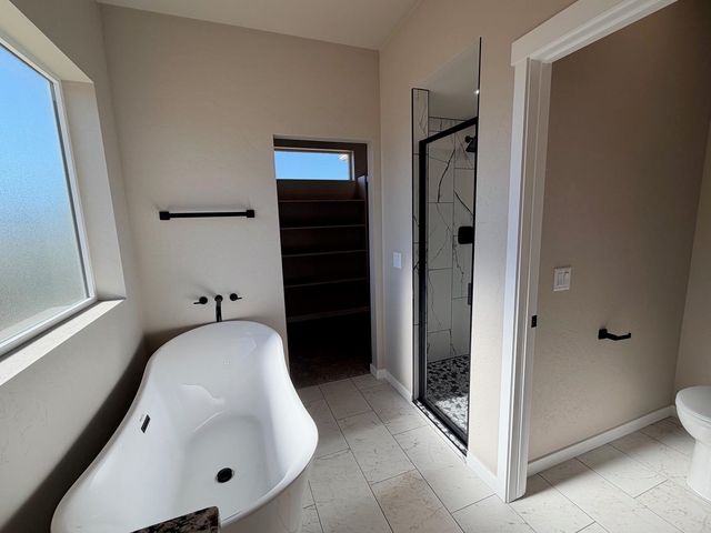 376 Hatchet Canyon Circle, Fruita, CO 81521