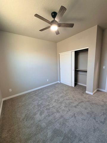 376 Hatchet Canyon Circle, Fruita, CO 81521