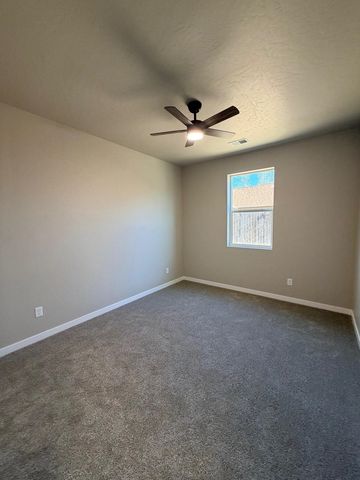 376 Hatchet Canyon Circle, Fruita, CO 81521