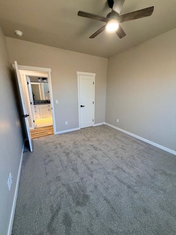 376 Hatchet Canyon Circle, Fruita, CO 81521