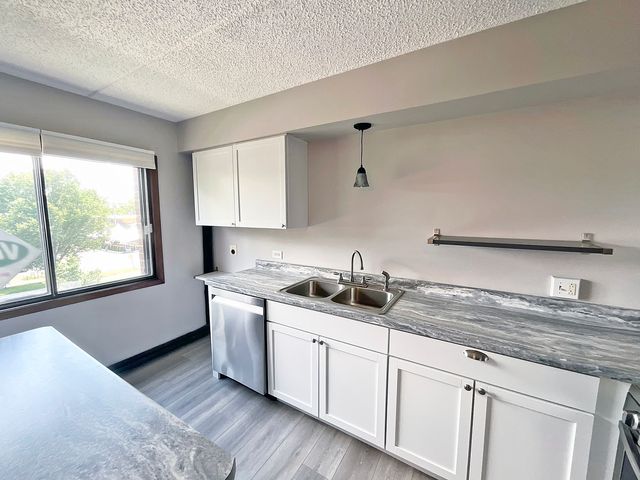 4946 Douglas Road 202, Downers Grove, IL 60515