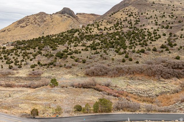 15273 S ROSE CANYON RD, Herriman, UT 84096