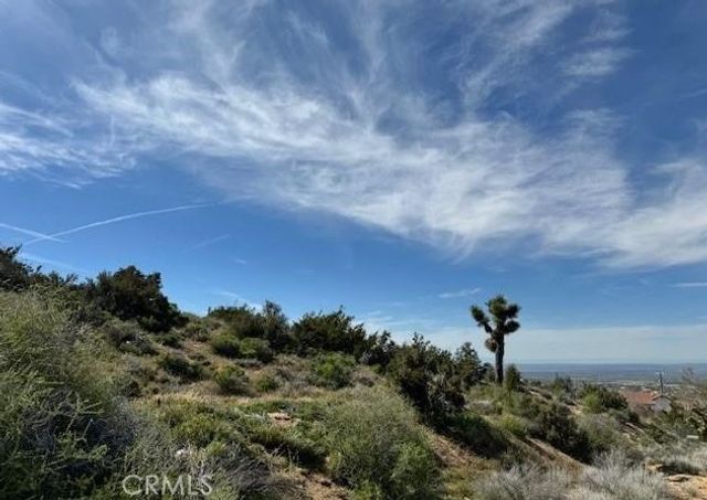 0 Snow Valley rd., Pinon Hills, CA 92372