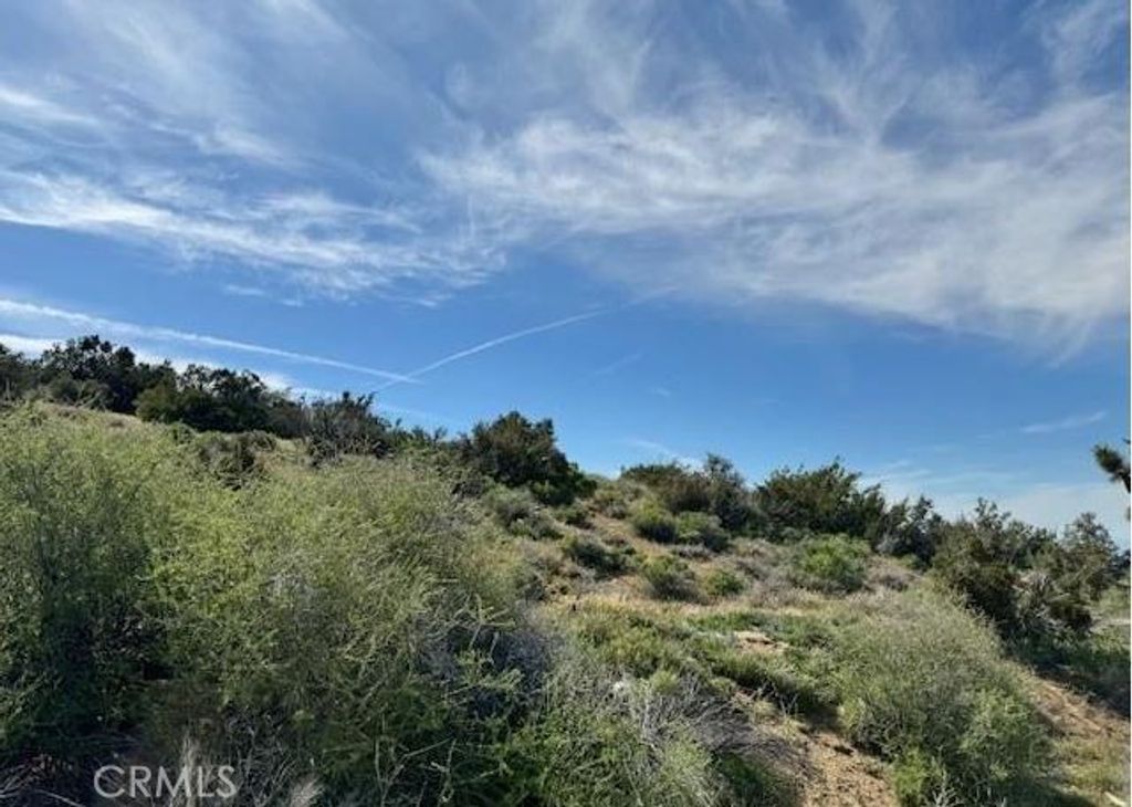 0 Snow Valley rd., Pinon Hills, CA 92372