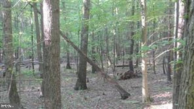 CALYPSO TRAIL, Great Cacapon, WV 25422