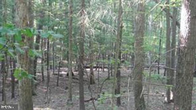 CALYPSO TRAIL, Great Cacapon, WV 25422