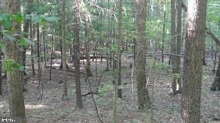 CALYPSO TRAIL, Great Cacapon, WV 25422