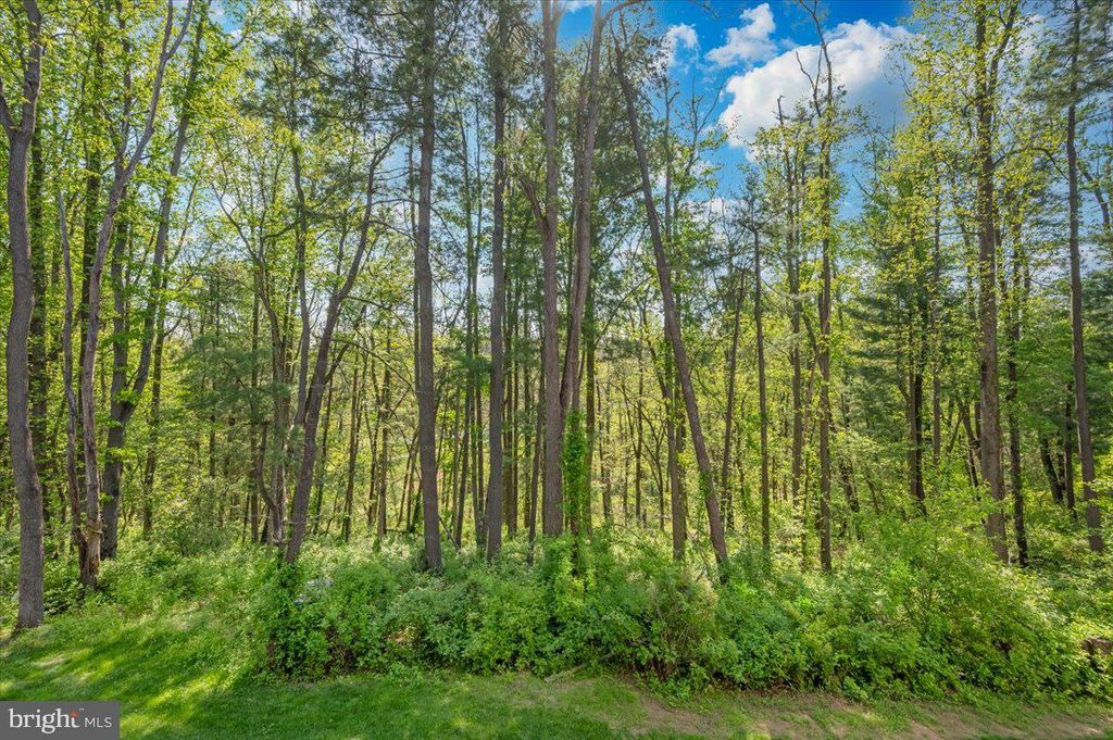 Image 24 of property listing at 6113 STONECAT CT, New Market, MD 21774