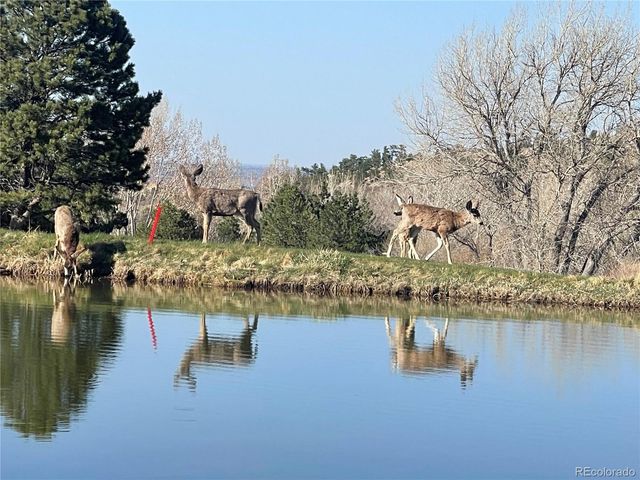 6405 Eagle Feather Trail, Littleton, CO 80125