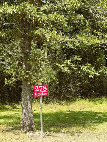 278 Reggie Lane, Trinity, TX 75862