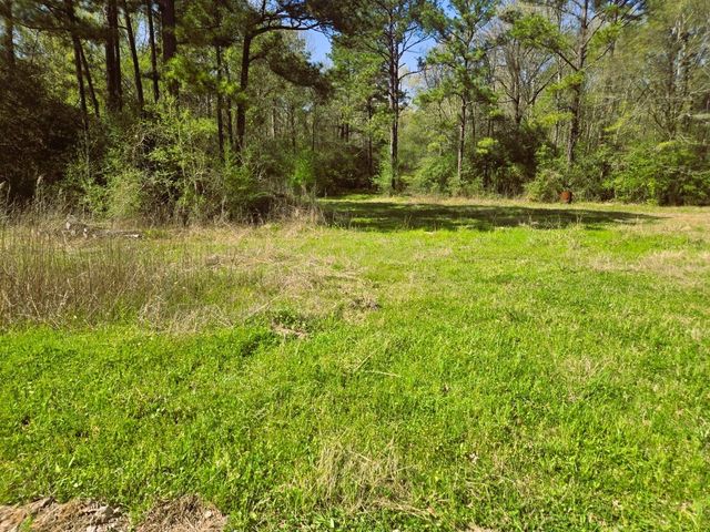 278 Reggie Lane, Trinity, TX 75862