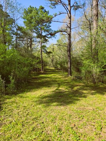 278 Reggie Lane, Trinity, TX 75862