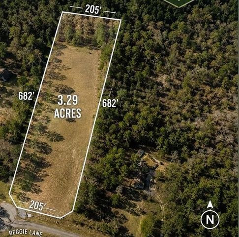 278 Reggie Lane, Trinity, TX 75862