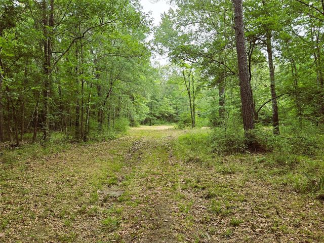 278 Reggie Lane, Trinity, TX 75862