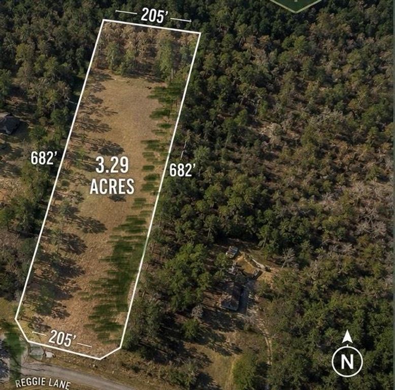 278 Reggie Lane, Trinity, TX 75862