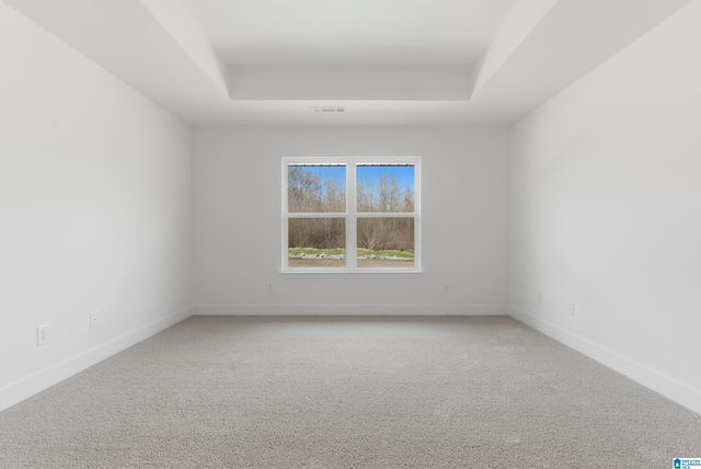 636 JAMESTOWN CIRCLE, Montevallo, AL 35115