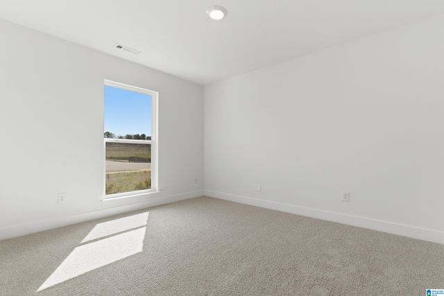 636 JAMESTOWN CIRCLE, Montevallo, AL 35115