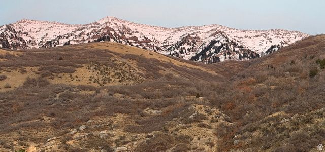 1085 E WINDSOR DR, Provo, UT 84604