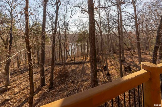 221 Poplar Lake Road, Makanda, IL 62958