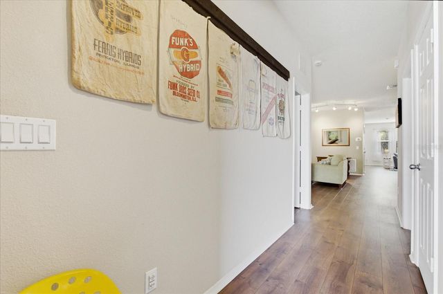 20900 OLDENBURG LOOP, Mount Dora, FL 32757