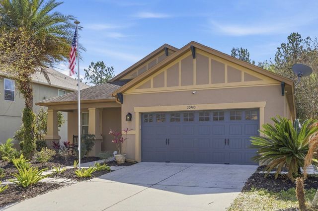 20900 OLDENBURG LOOP, Mount Dora, FL 32757