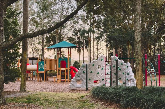 20900 OLDENBURG LOOP, Mount Dora, FL 32757