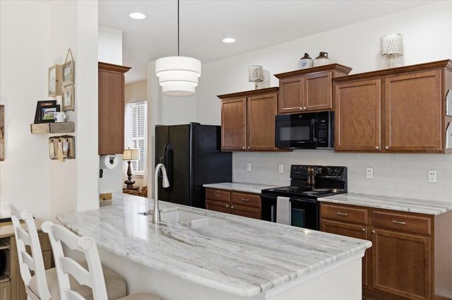 20900 OLDENBURG LOOP, Mount Dora, FL 32757