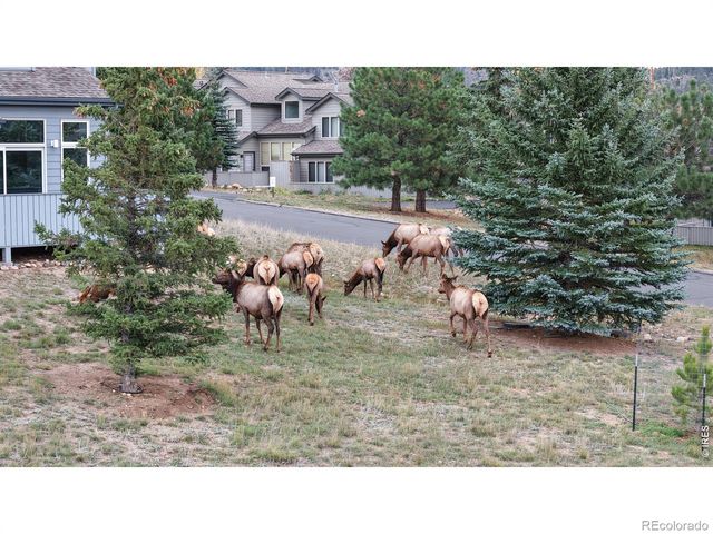 1555 Raven Circle, Estes Park, CO 80517