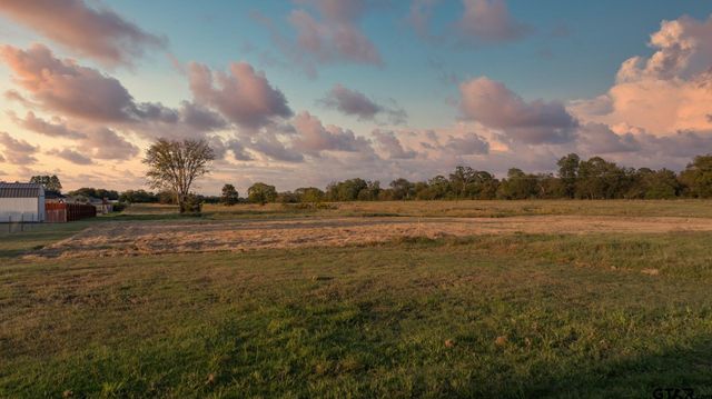 2062 County Road 1612, Alba, TX 75410