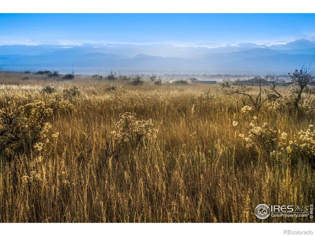 7913 County Road 84, Fort Collins, CO 80524