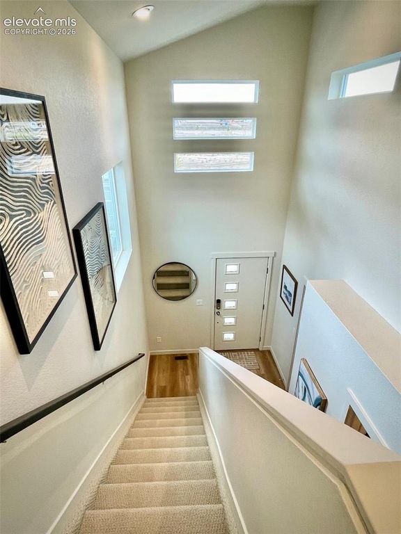 9277 Percheron Pony Drive, Colorado Springs, CO 80908 — photo 5