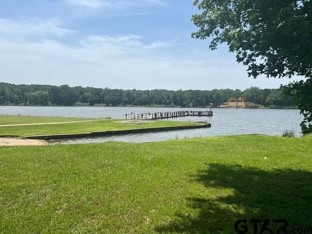 71 Private Road 52436, Pittsburg, TX 75686