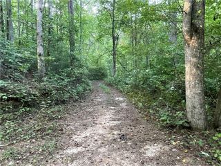 201 Black Bear Trace, Dawsonville, GA 30534