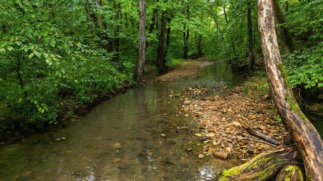 0 Furnace Hollow Road, Dickson, TN 37055