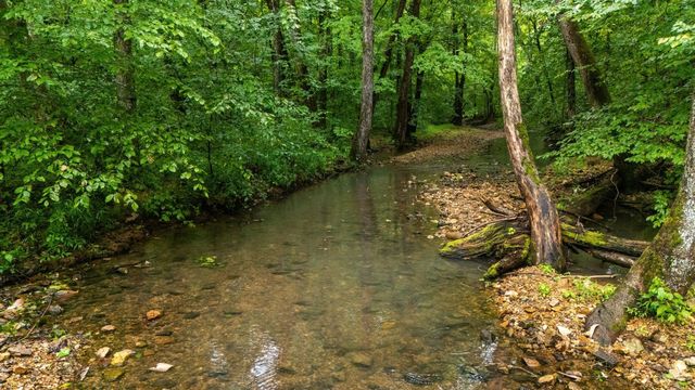0 Furnace Hollow Road, Dickson, TN 37055