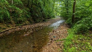 0 Furnace Hollow Road, Dickson, TN 37055