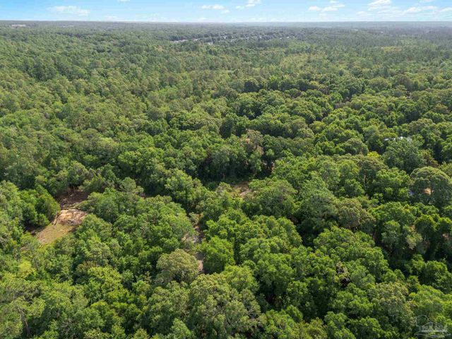 4948 Timothy Twitchell Dr, Pace, FL 32583