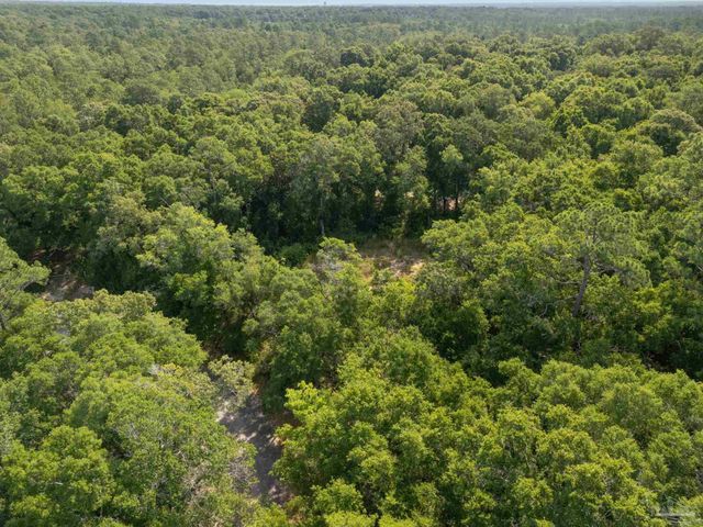4948 Timothy Twitchell Dr, Pace, FL 32583