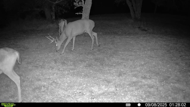 4068 Little John Rd, Copperopolis, CA 95228